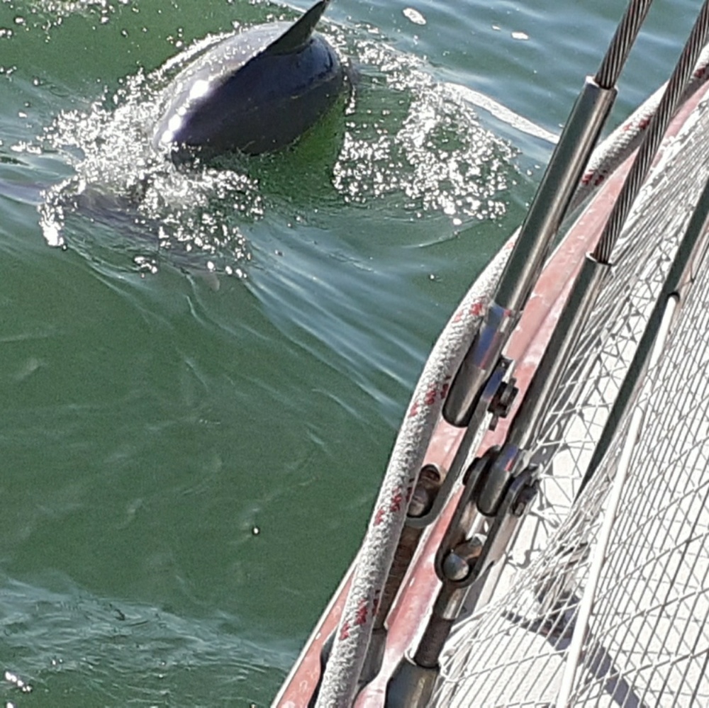 Meet your Posher, Brian